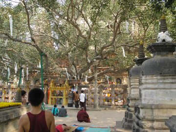 Mahabodhi boom in Bodh Gaya